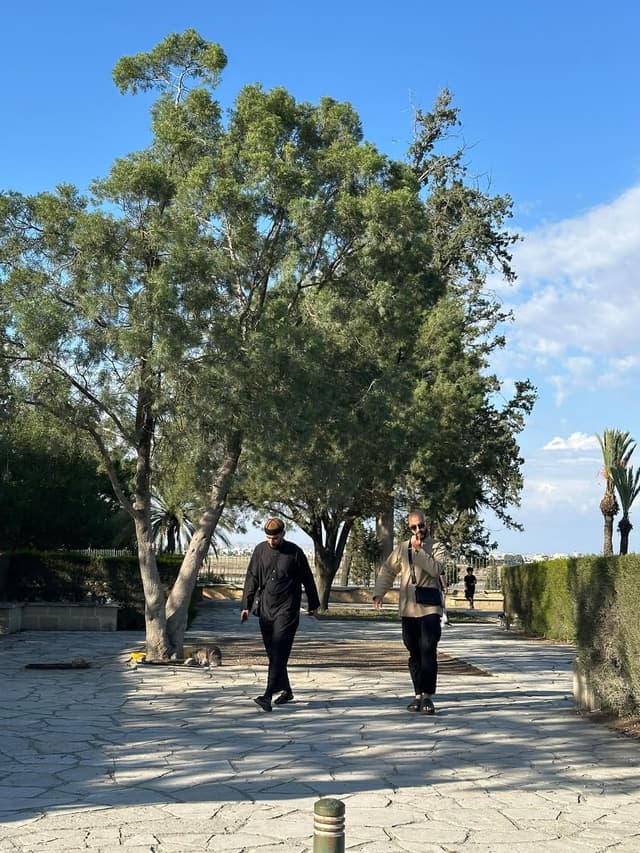 Cyprus 2026, photo 22