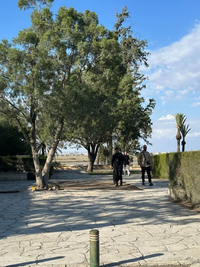Cyprus 2026, photo 23